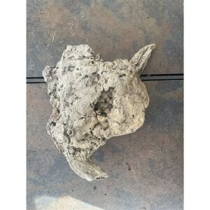 Natural Driftwood for Plants Terrarium Taxidermy Art Projects